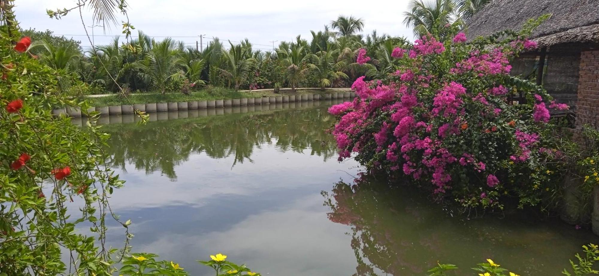 Lakeview Villa Homestay 会安 外观 照片